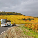Top Amenities to Look for in a Wine Tour Bus