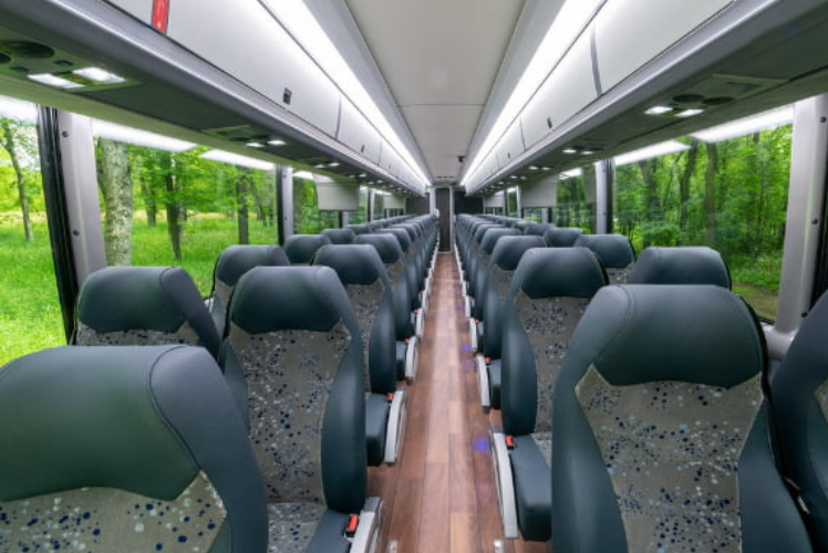 van hool