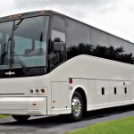 Wine Tour Bus: A Stress-Free Way to Explore Local Vineyards