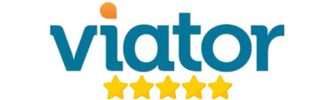 4.9 With 1,200+ Reviews