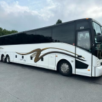 Planning a City Tour by Charter Bus: Tips for Travelers