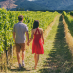 What Time of Year Is Best for Wine Tours?